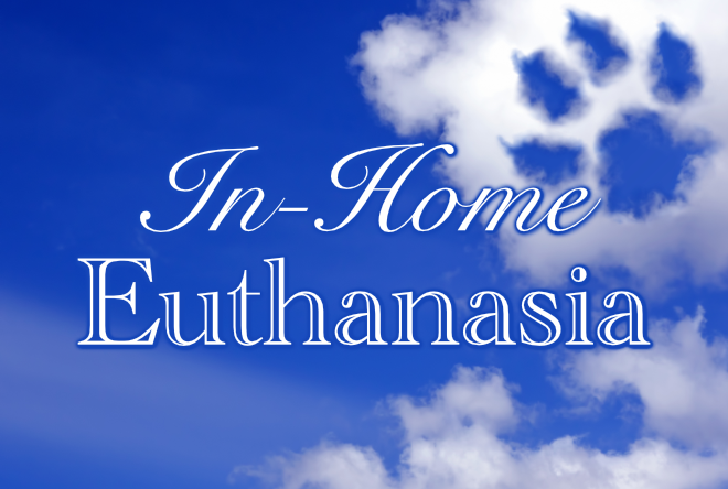In-Home Euthanasia - Dr. Loudon, Long Island, NY