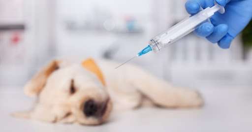 Vaccines - The Sharp Truth