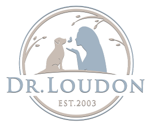Dr. Loudon - Healing Dogs with Expertise & Compassion 