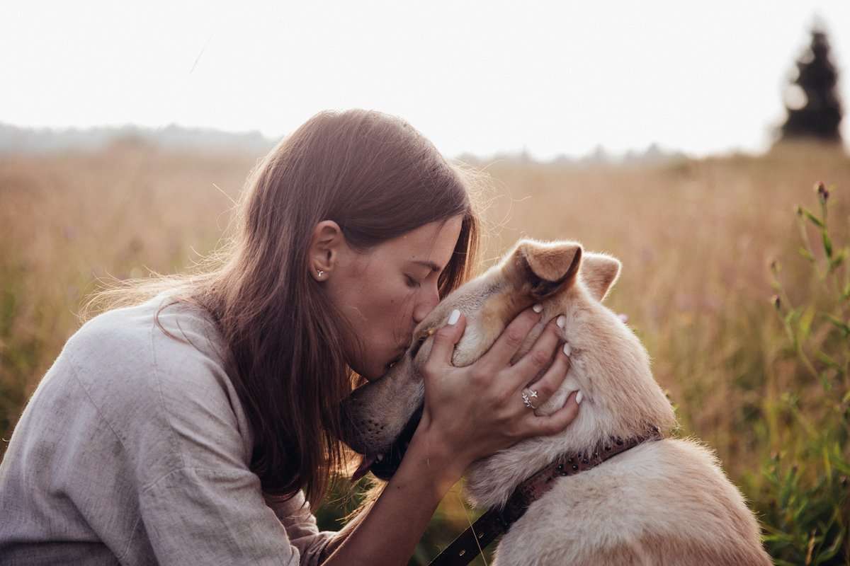 How To Bring Out The Best In Our Dogs