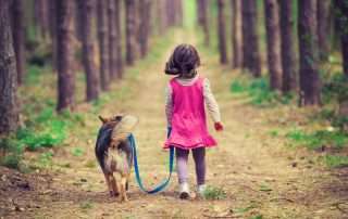 Girl Walking Dog Through Woods
