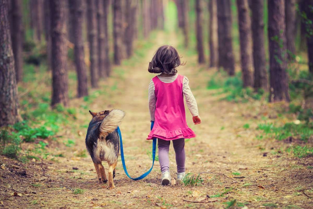 Girl Walking Dog Through Woods