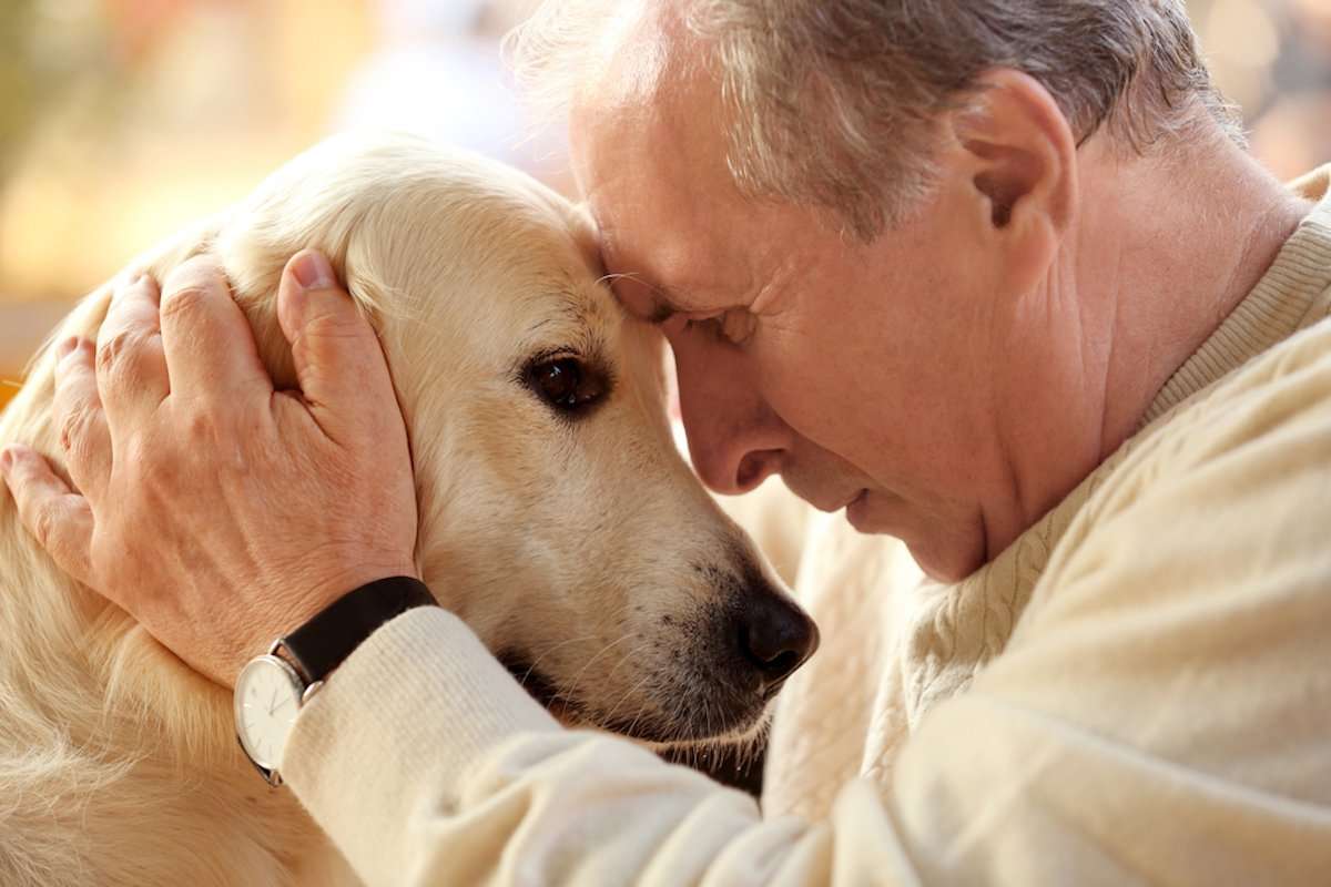 The Hardest Decision You Will Make for Your Dog