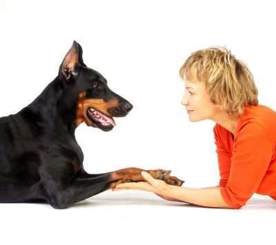 Dog and Dog Guardian