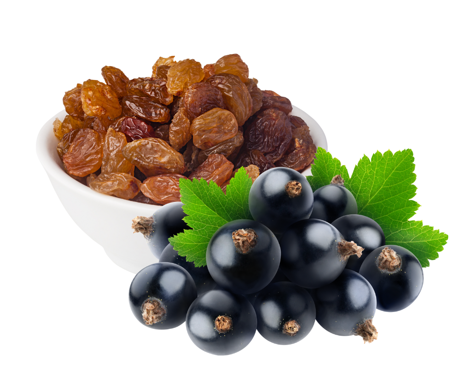 Portrait Photos (11)