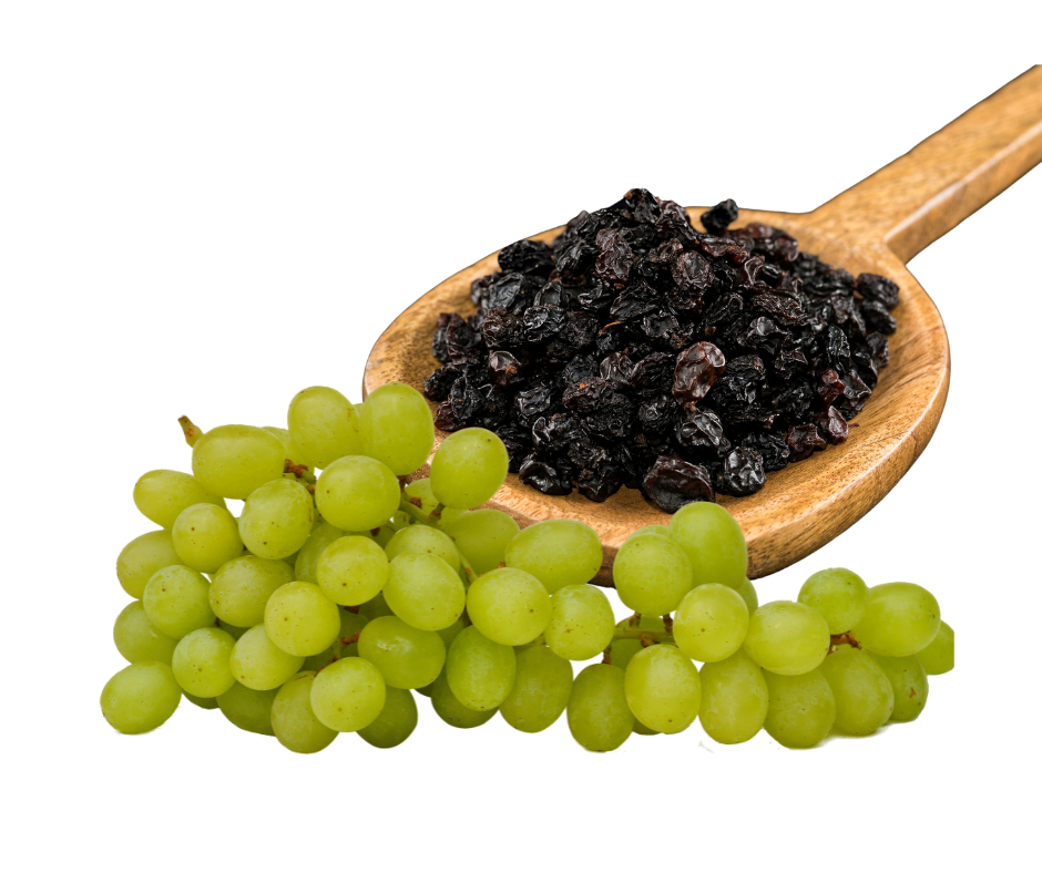 Portrait Photos (12)