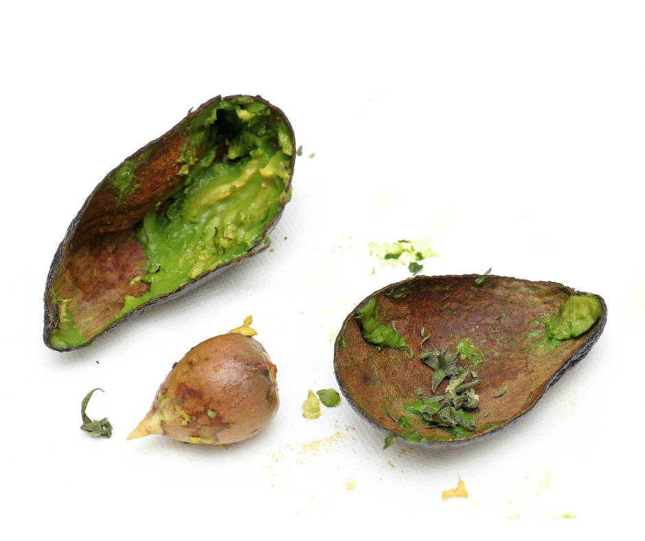 Portrait Photos (13)