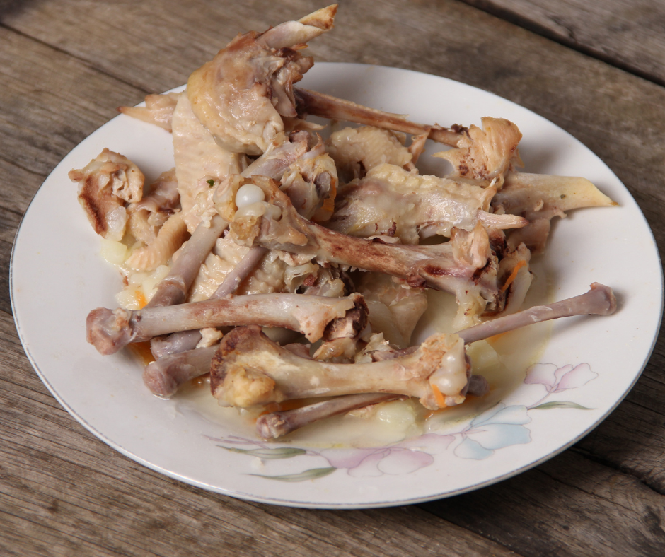 Portrait Photos (19)