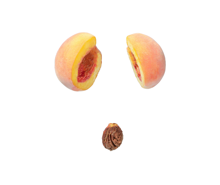peach pit