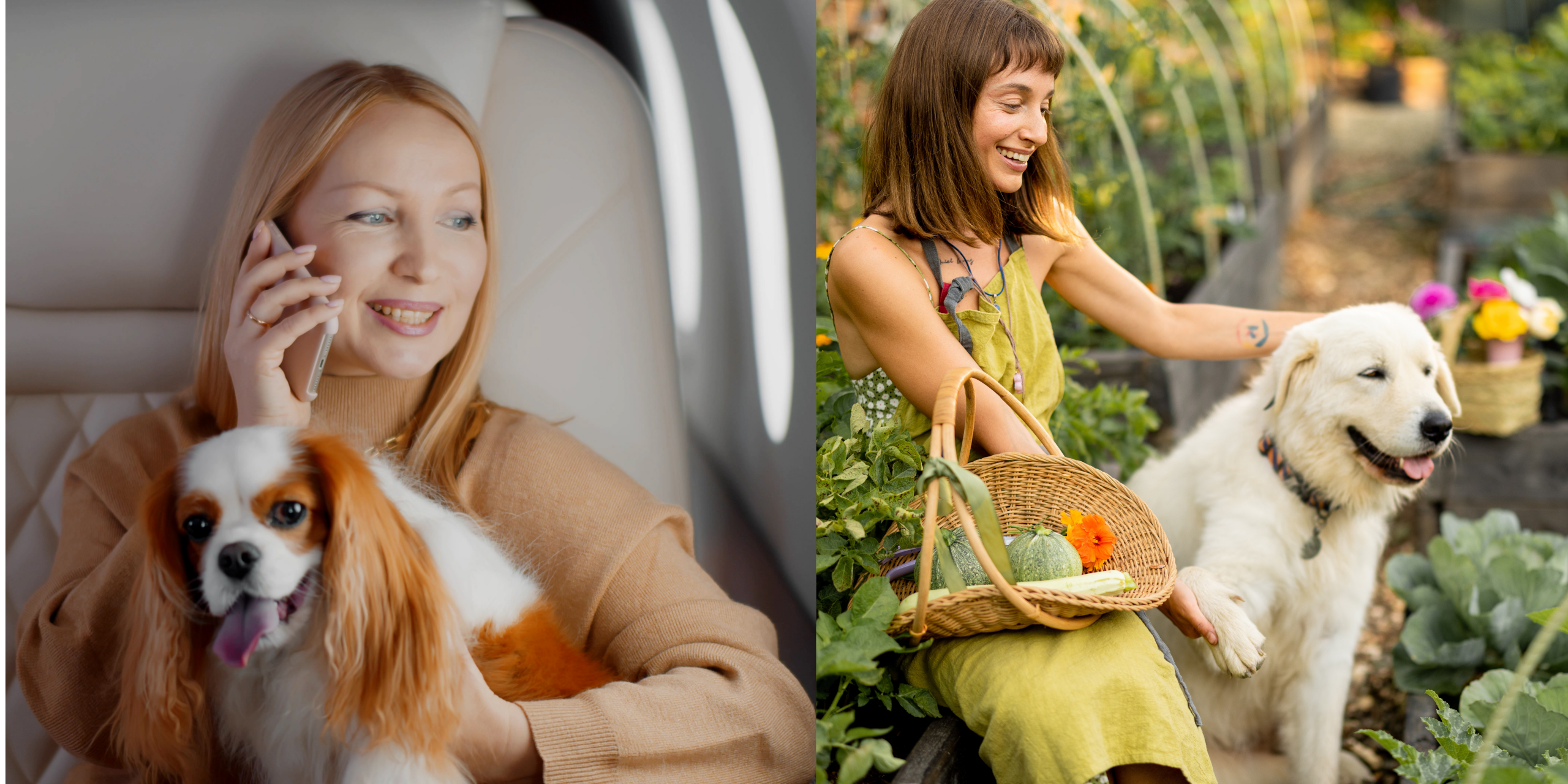 On the left, a sophisticated woman flying in a private jet with a King Charles Spaniel on her lap. On the right, a woman in a flowing dress on a farm, holding a basket of veggies with a Great Pyrenees dog by her side.