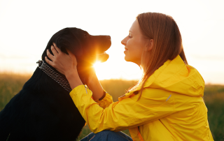 dog and woman under sunset