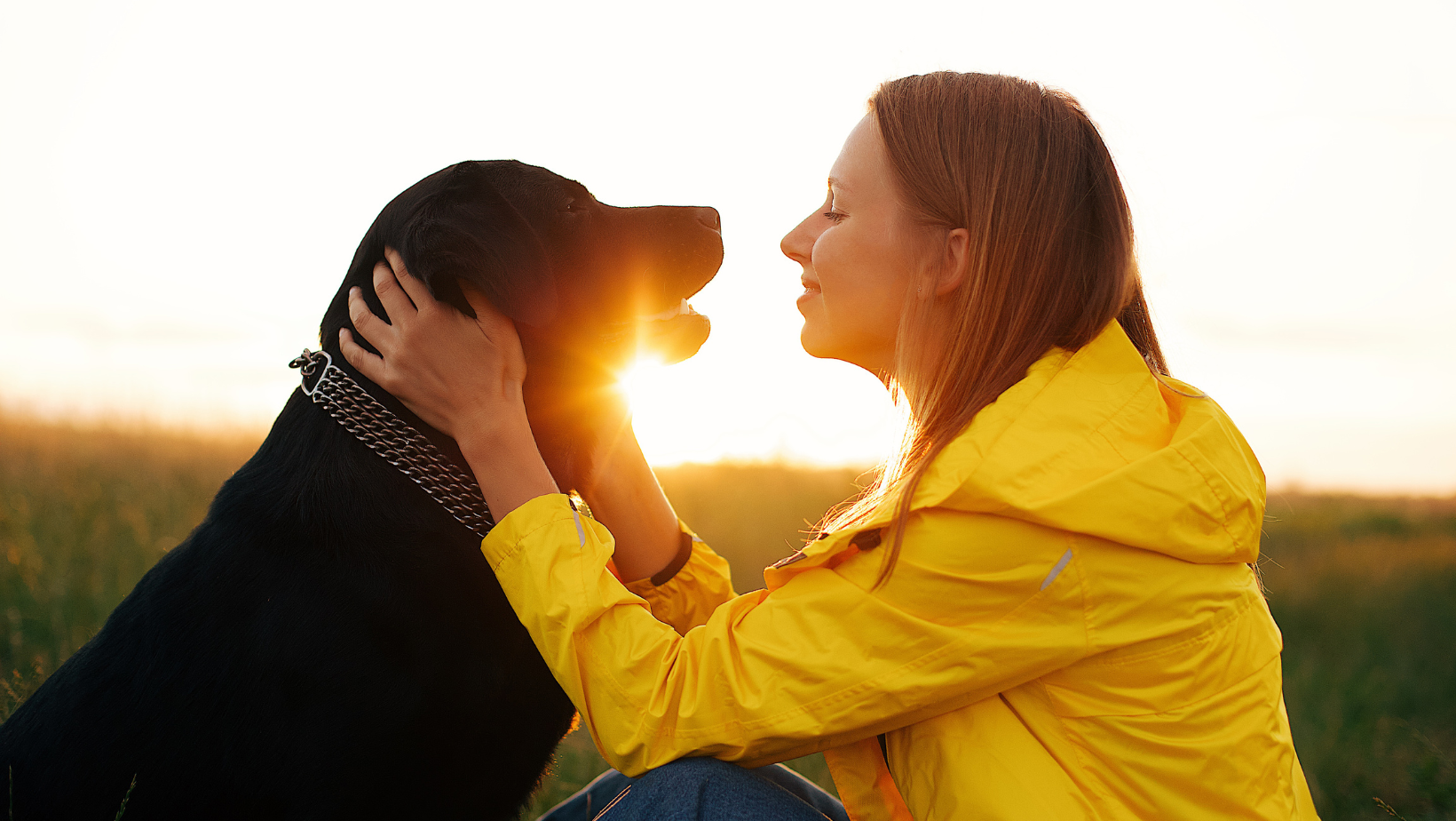 dog and woman under sunset